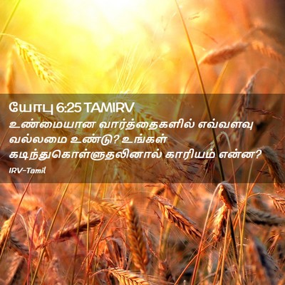 Picture 02 - யோபு 6:25 TAMIRV - உண்மையான - Bible Verse Picture