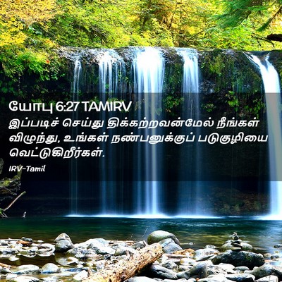 Picture 02 - யோபு 6:27 TAMIRV - இப்படிச் செய்து - Bible Verse Picture