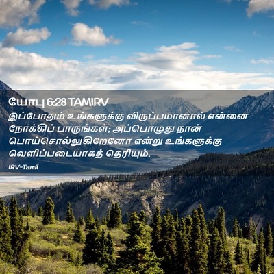 Picture 02 - யோபு 6:28 TAMIRV - இப்போதும் - Bible Verse Picture