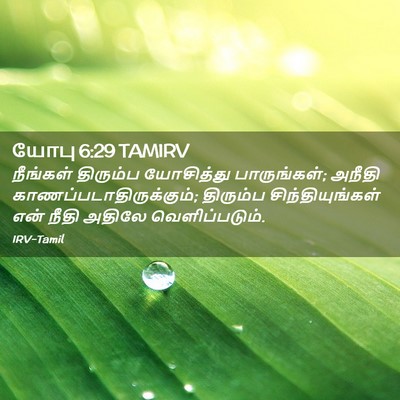 Picture 02 - யோபு 6:29 TAMIRV - நீங்கள் திரும்ப - Bible Verse Picture