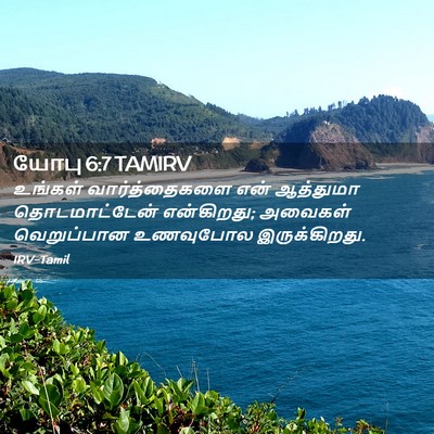 Picture 02 - யோபு 6:7 TAMIRV - உங்கள் - Bible Verse Picture