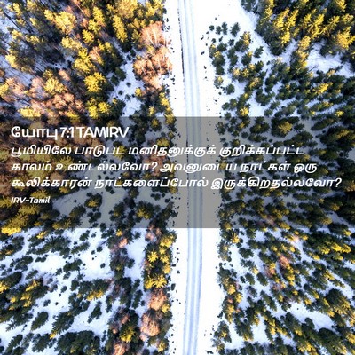 Picture 02 - யோபு 7:1 TAMIRV - பூமியிலே பாடுபட - Bible Verse Picture