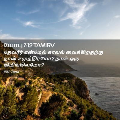 Picture 02 - யோபு 7:12 TAMIRV - தேவரீர் என்மேல் - Bible Verse Picture