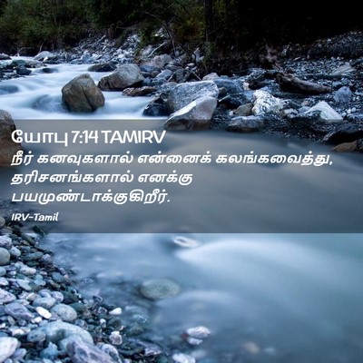 Picture 02 - யோபு 7:14 TAMIRV - நீர் கனவுகளால் - Bible Verse Picture