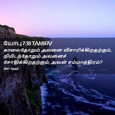 Picture 02 - யோபு 7:18 TAMIRV - காலைதோறும் அவனை - Bible Verse Picture