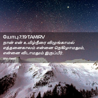 Picture 02 - யோபு 7:19 TAMIRV - நான் என் - Bible Verse Picture