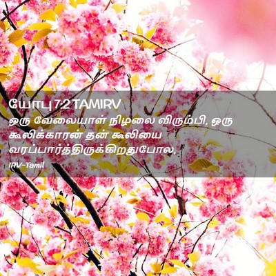 Picture 02 - யோபு 7:2 TAMIRV - ஒரு வேலையாள் - Bible Verse Picture