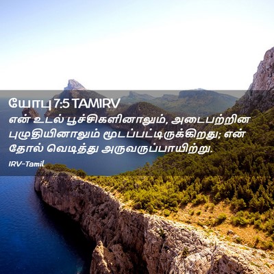 Picture 02 - யோபு 7:5 TAMIRV - என் உடல் - Bible Verse Picture