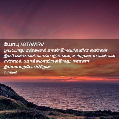 Picture 02 - யோபு 7:8 TAMIRV - இப்போது என்னைக் - Bible Verse Picture