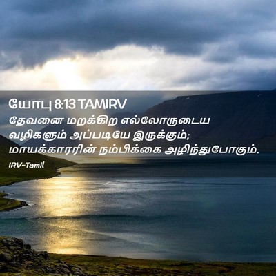 Picture 02 - யோபு 8:13 TAMIRV - தேவனை மறக்கிற - Bible Verse Picture