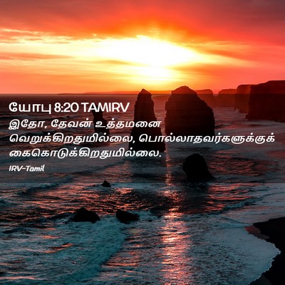 Picture 02 - யோபு 8:20 TAMIRV - இதோ, தேவன் உத்தமனை - Bible Verse Picture