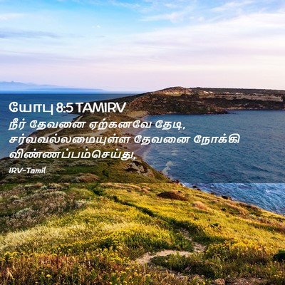 Picture 02 - யோபு 8:5 TAMIRV - நீர் தேவனை - Bible Verse Picture