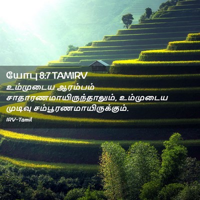 Picture 02 - யோபு 8:7 TAMIRV - உம்முடைய ஆரம்பம் - Bible Verse Picture