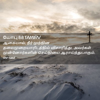 Picture 02 - யோபு 8:8 TAMIRV - ஆகையால், நீர் - Bible Verse Picture