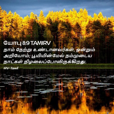 Picture 02 - யோபு 8:9 TAMIRV - நாம் நேற்று - Bible Verse Picture