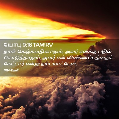 Picture 02 - யோபு 9:16 TAMIRV - நான் - Bible Verse Picture