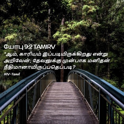 Picture 02 - யோபு 9:2 TAMIRV - “ஆம், காரியம் - Bible Verse Picture
