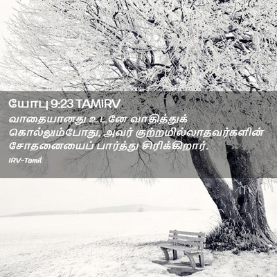 Picture 02 - யோபு 9:23 TAMIRV - வாதையானது உடனே - Bible Verse Picture