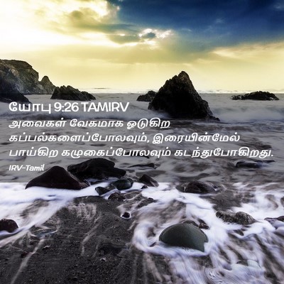 Picture 02 - யோபு 9:26 TAMIRV - அவைகள் வேகமாக - Bible Verse Picture