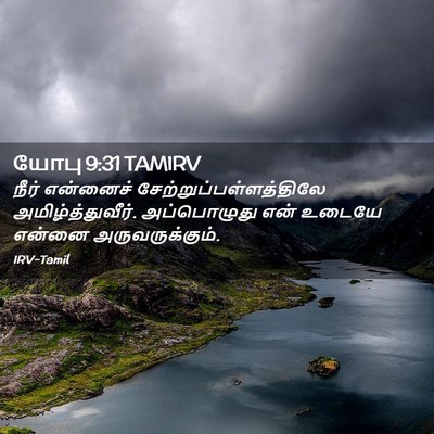Picture 02 - யோபு 9:31 TAMIRV - நீர் என்னைச் - Bible Verse Picture