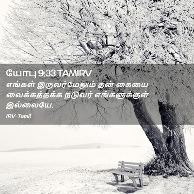 Picture 02 - யோபு 9:33 TAMIRV - எங்கள் - Bible Verse Picture