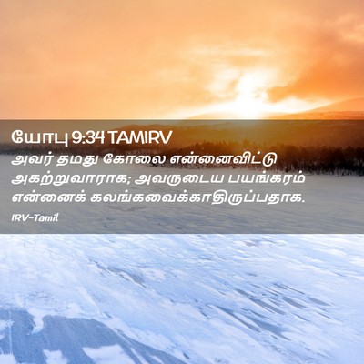 Picture 02 - யோபு 9:34 TAMIRV - அவர் தமது கோலை - Bible Verse Picture