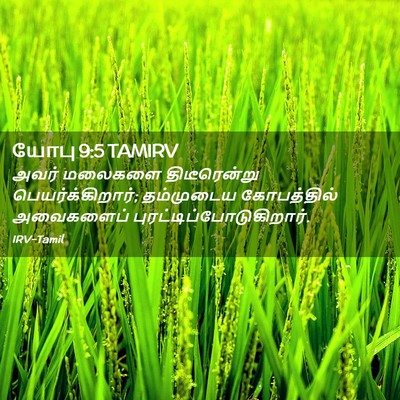 Picture 02 - யோபு 9:5 TAMIRV - அவர் மலைகளை - Bible Verse Picture