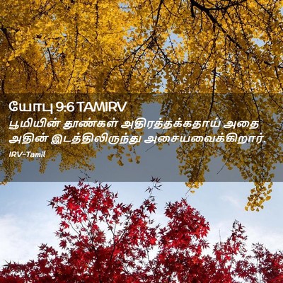 Picture 02 - யோபு 9:6 TAMIRV - பூமியின் தூண்கள் - Bible Verse Picture