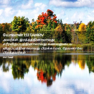 Picture 02 - யோவான் 1:13 TAMIRV - அவர்கள், - Bible Verse Picture