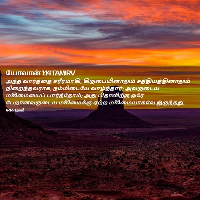 Picture 02 - யோவான் 1:14 TAMIRV - அந்த வார்த்தை - Bible Verse Picture