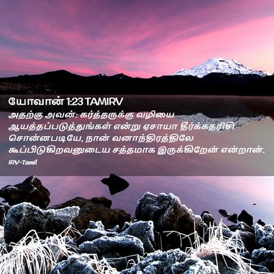 Picture 02 - யோவான் 1:23 TAMIRV - அதற்கு அவன்: - Bible Verse Picture
