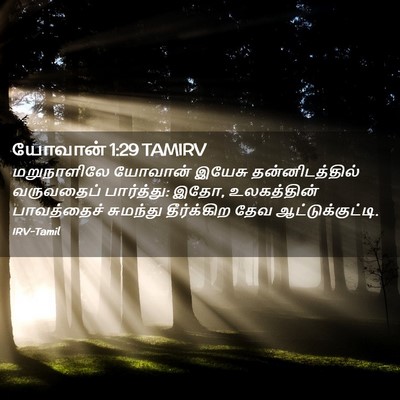 Picture 02 - யோவான் 1:29 TAMIRV - மறுநாளிலே யோவான் - Bible Verse Picture