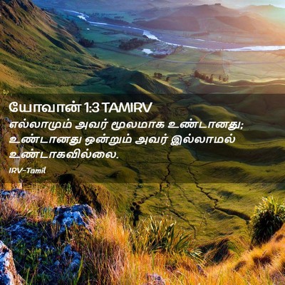 Picture 02 - யோவான் 1:3 TAMIRV - எல்லாமும் அவர் - Bible Verse Picture