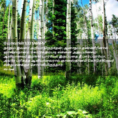 Picture 02 - யோவான் 1:33 TAMIRV - நானும் இவரை - Bible Verse Picture