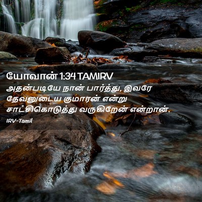 Picture 02 - யோவான் 1:34 TAMIRV - அதன்படியே நான் - Bible Verse Picture