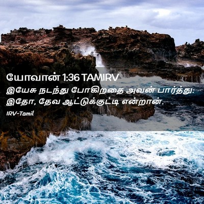 Picture 02 - யோவான் 1:36 TAMIRV - இயேசு நடந்து - Bible Verse Picture