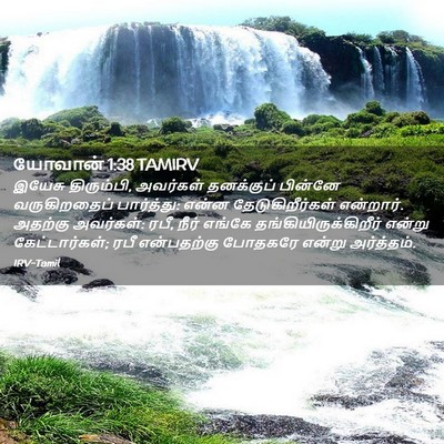 Picture 02 - யோவான் 1:38 TAMIRV - இயேசு திரும்பி, - Bible Verse Picture