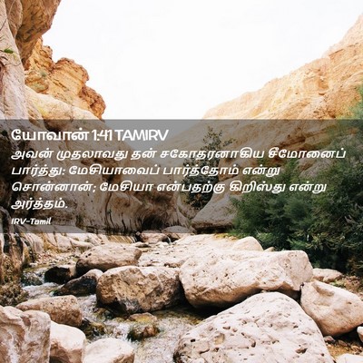 Picture 02 - யோவான் 1:41 TAMIRV - அவன் முதலாவது தன் - Bible Verse Picture