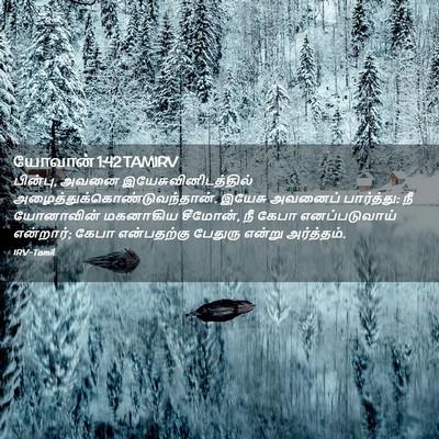 Picture 02 - யோவான் 1:42 TAMIRV - பின்பு, அவனை - Bible Verse Picture