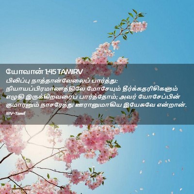 Picture 02 - யோவான் 1:45 TAMIRV - பிலிப்பு - Bible Verse Picture