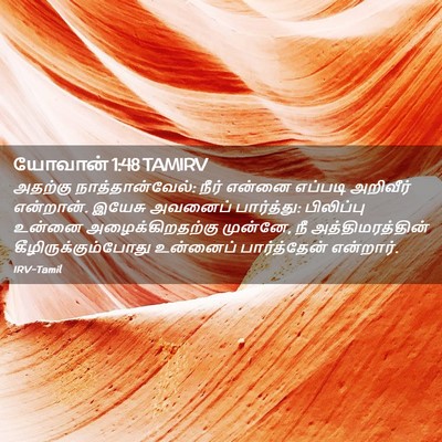 Picture 02 - யோவான் 1:48 TAMIRV - அதற்கு - Bible Verse Picture