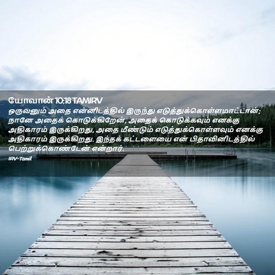 Picture 02 - யோவான் 10:18 TAMIRV - ஒருவனும் அதை - Bible Verse Picture