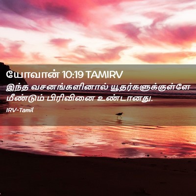 Picture 02 - யோவான் 10:19 TAMIRV - இந்த வசனங்களினால் - Bible Verse Picture