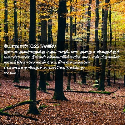 Picture 02 - யோவான் 10:25 TAMIRV - இயேசு அவர்களுக்கு - Bible Verse Picture
