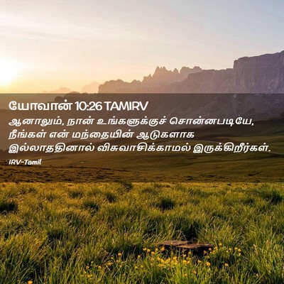 Picture 02 - யோவான் 10:26 TAMIRV - ஆனாலும், நான் - Bible Verse Picture