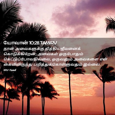 Picture 02 - யோவான் 10:28 TAMIRV - நான் அவைகளுக்கு - Bible Verse Picture
