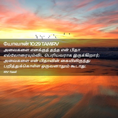 Picture 02 - யோவான் 10:29 TAMIRV - அவைகளை எனக்குத் - Bible Verse Picture