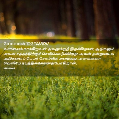 Picture 02 - யோவான் 10:3 TAMIRV - வாசலைக் - Bible Verse Picture