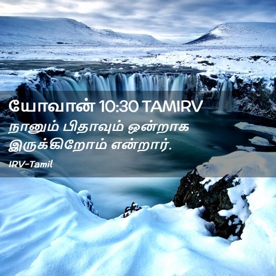 Picture 02 - யோவான் 10:30 TAMIRV - நானும் பிதாவும் - Bible Verse Picture