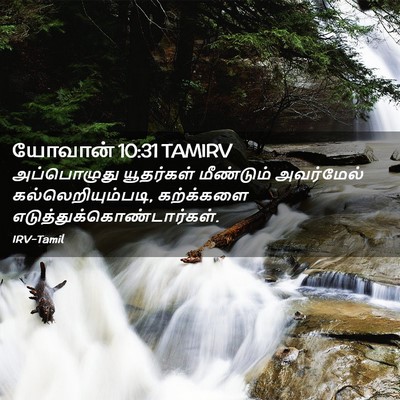 Picture 02 - யோவான் 10:31 TAMIRV - அப்பொழுது - Bible Verse Picture